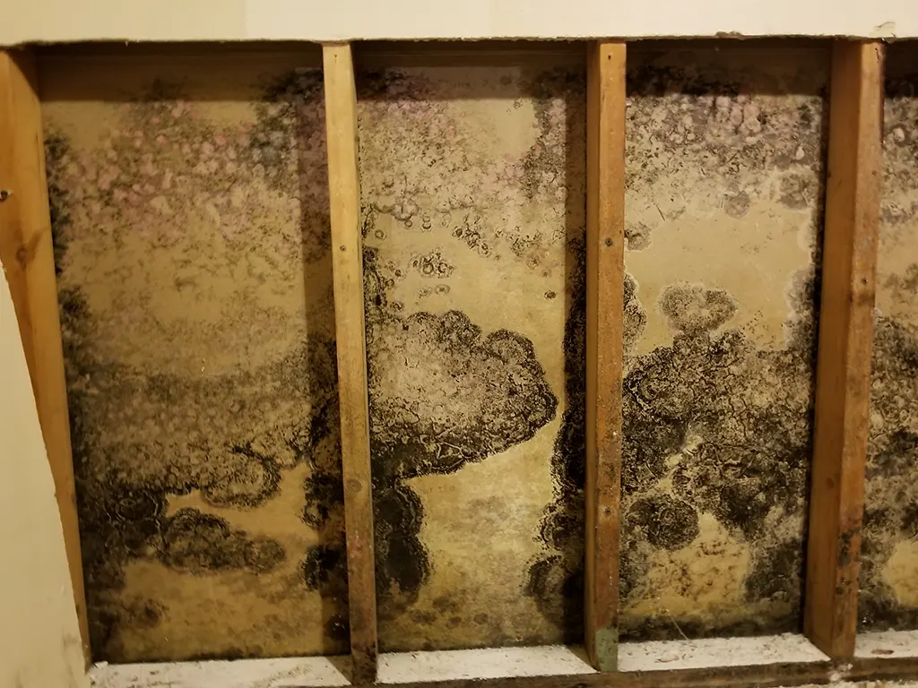 Gallery image 5 — commercial water damage restoration Round Rock