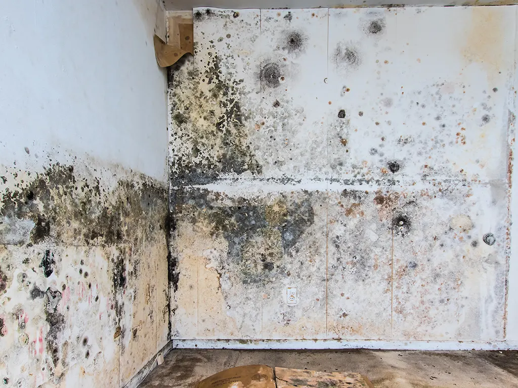 Gallery image 7 — commercial water damage restoration Round Rock