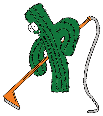 About Cactus Carpet Cleaning
