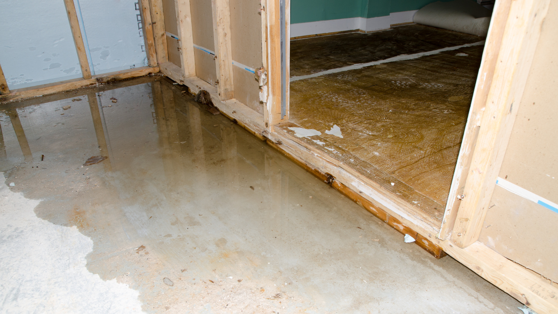 Gallery image 3 — asbestos removal near me