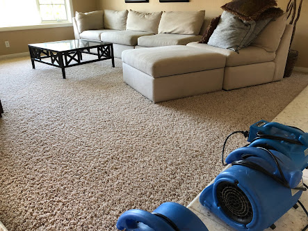 Gallery image 2 — Nice Guys Carpet Cleaning & Restoration