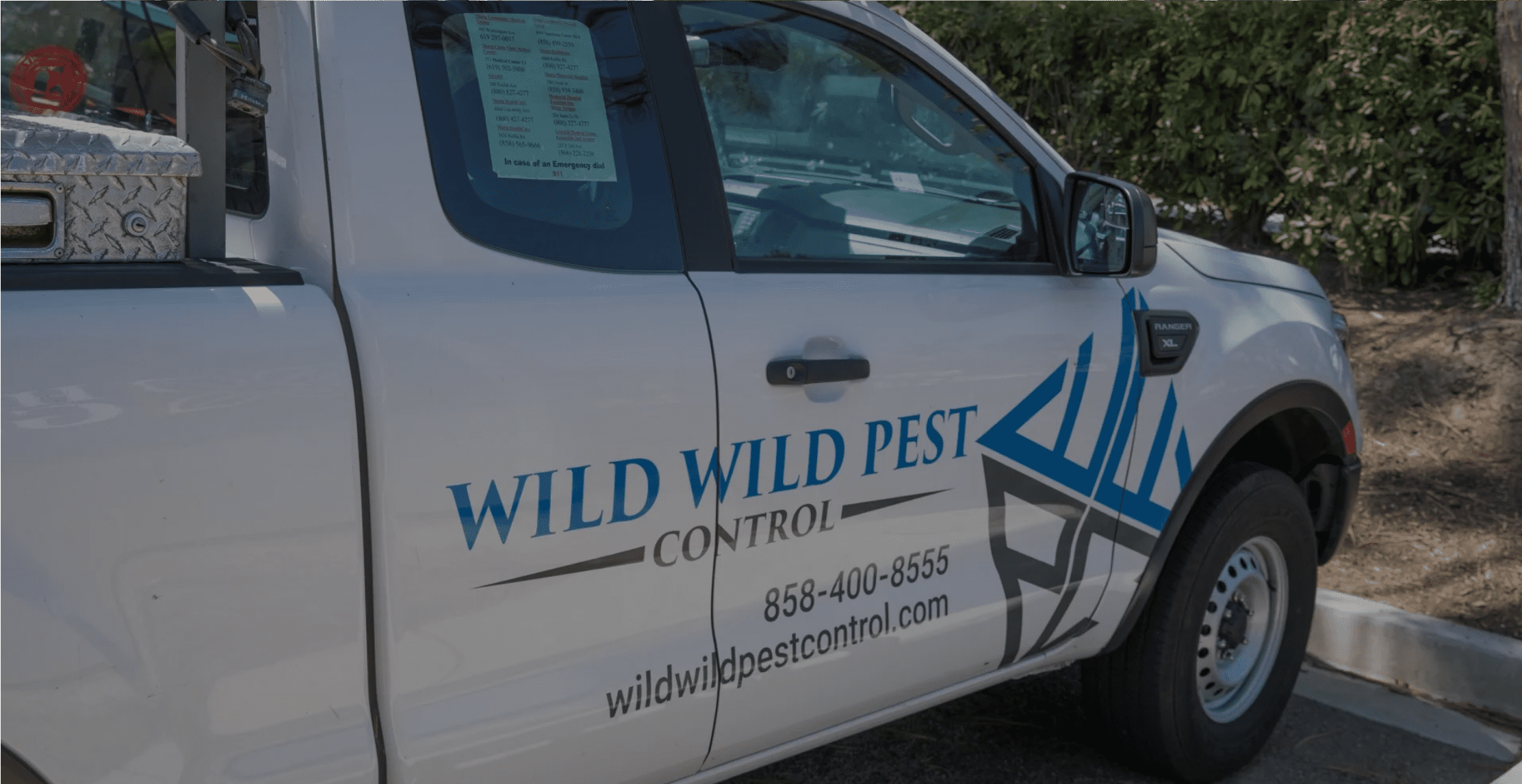 Gallery image 8 — Wild Wild Pest Control