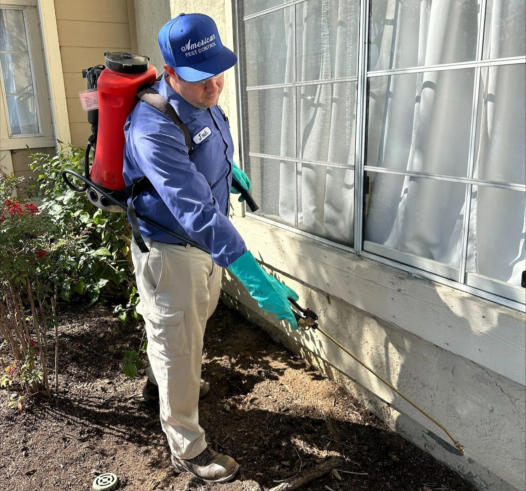 Gallery image 3 — free termite inspection San Diego