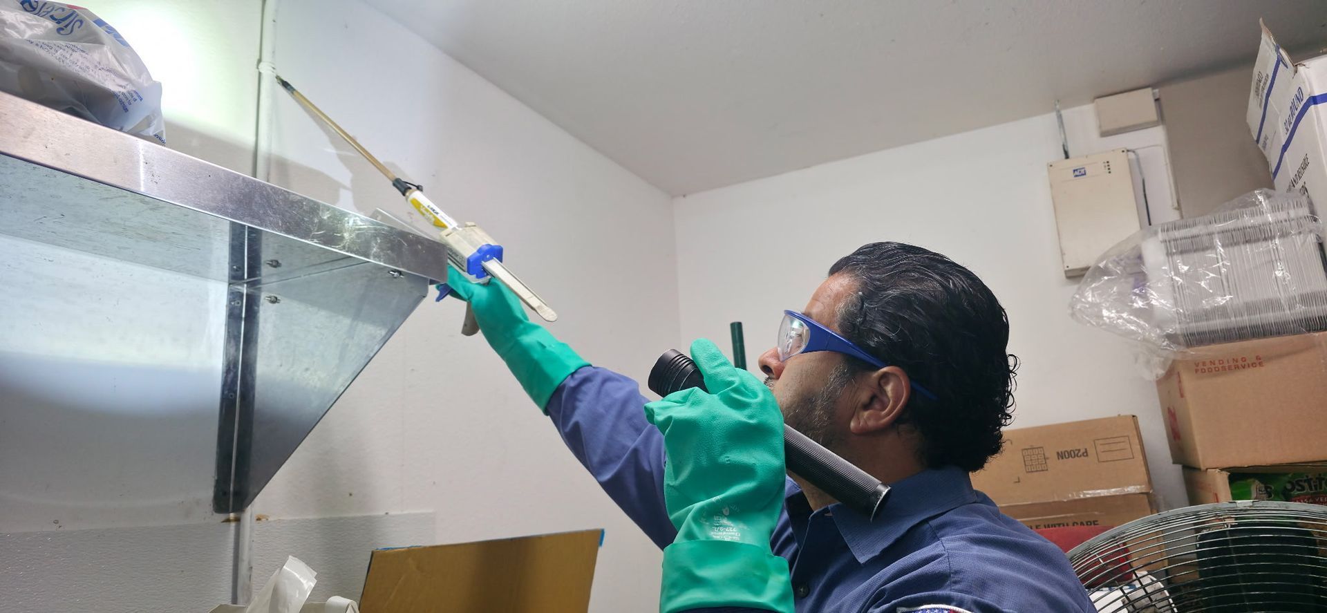 free termite inspection San Diego