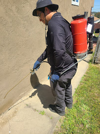 About free pest inspection San Diego