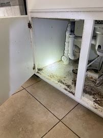 cockroach extermination near me