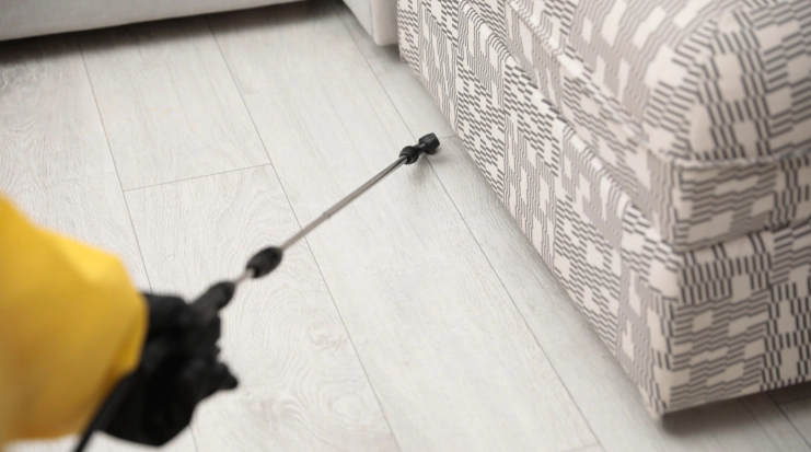 Gallery image 4 — free pest inspection San Diego