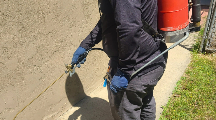 Gallery image 8 — free pest inspection San Diego