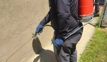 Gallery image 9 — free pest inspection San Diego