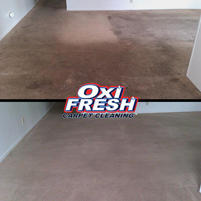Gallery image 10 — Oxi Fresh Carpet Cleaning