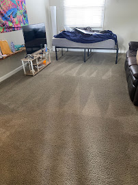 About professional rug cleaning Oxi Fresh Carpet Cleaning