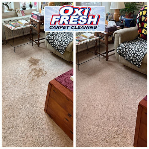 green carpet cleaning in Oxi Fresh Carpet Cleaning