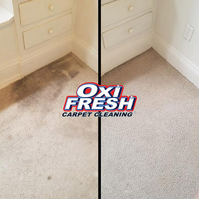 Gallery image 7 — Oxi Fresh Carpet Cleaning