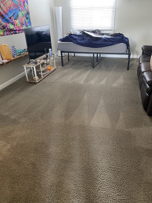 professional rug cleaning Oxi Fresh Carpet Cleaning