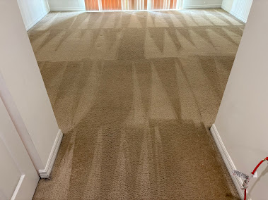 Gallery image 5 — commercial carpet cleaning in Oxi Fresh Carpet Cleaning