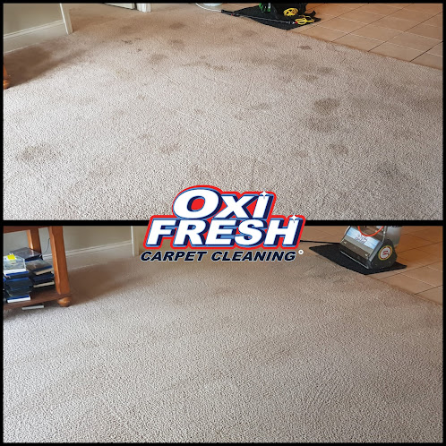 odor removal service Oxi Fresh Carpet Cleaning