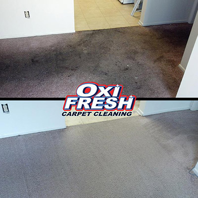 Gallery image 4 — Oxi Fresh Carpet Cleaning