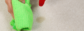 Gallery image 1 — Perkins Brothers Carpet Service
