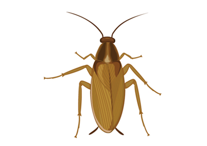 Gallery image 2 — Hydrex Pest Control
