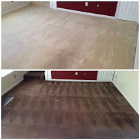 Just Clean Carpet Cleaning & Dyeing