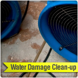 Gallery image 1 — San Diego Carpet Cleaning CA