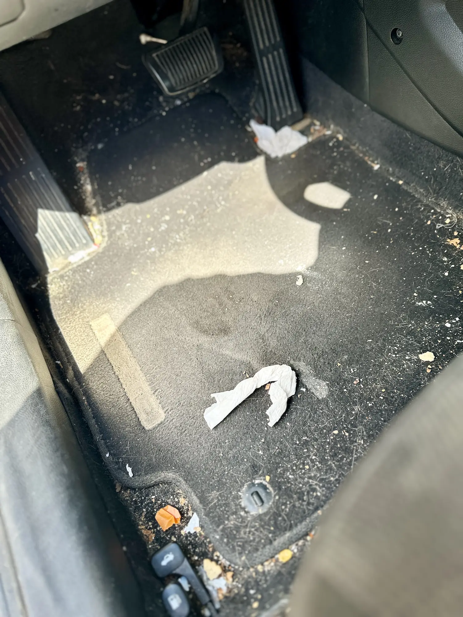 Gallery image 33 — Elevate SD Mobile Wash and Detail