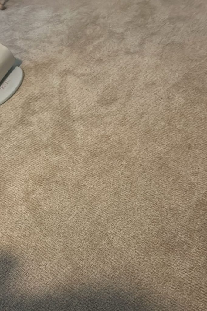 Gallery image 4 — Mission Valley Carpet Cleaning