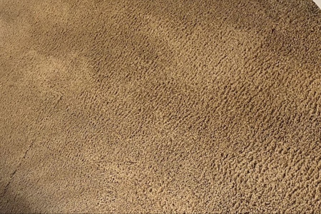 Gallery image 7 — Mission Valley Carpet Cleaning