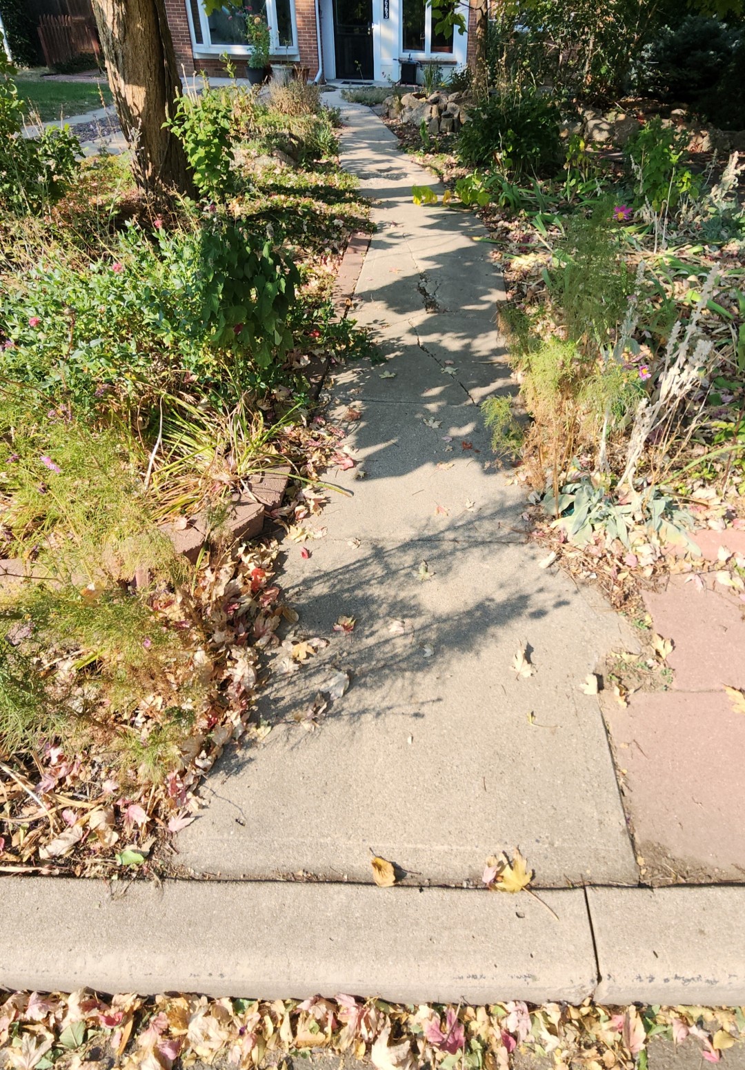 Gallery image 12 — concrete contractors in Denver