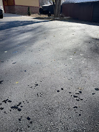 About Black Beauty Paving