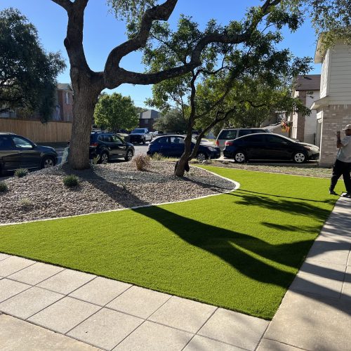 Gallery image 3 — commercial landscaping south Texas