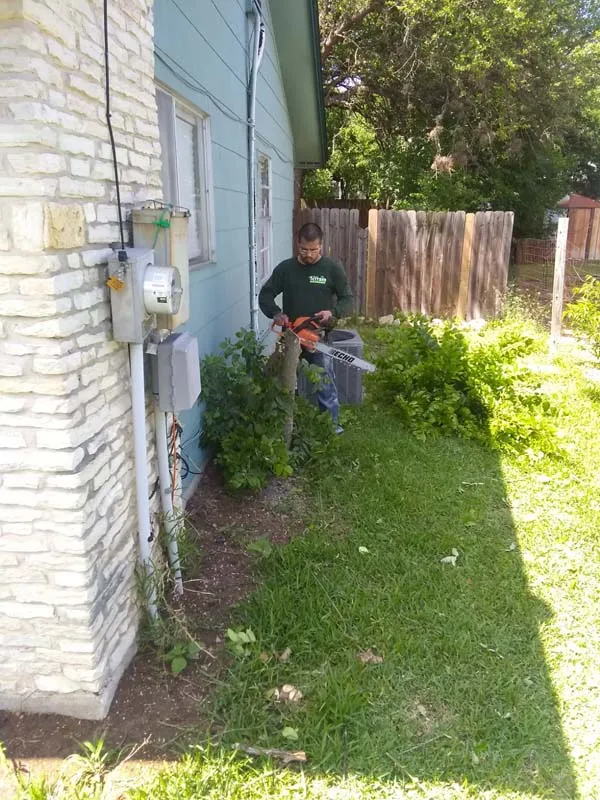 About lawn care San Antonio