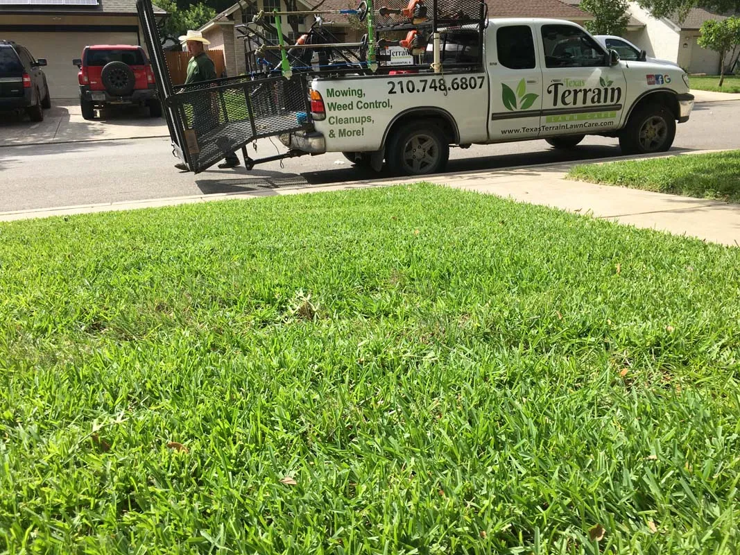 Gallery image 8 — lawn care San Antonio