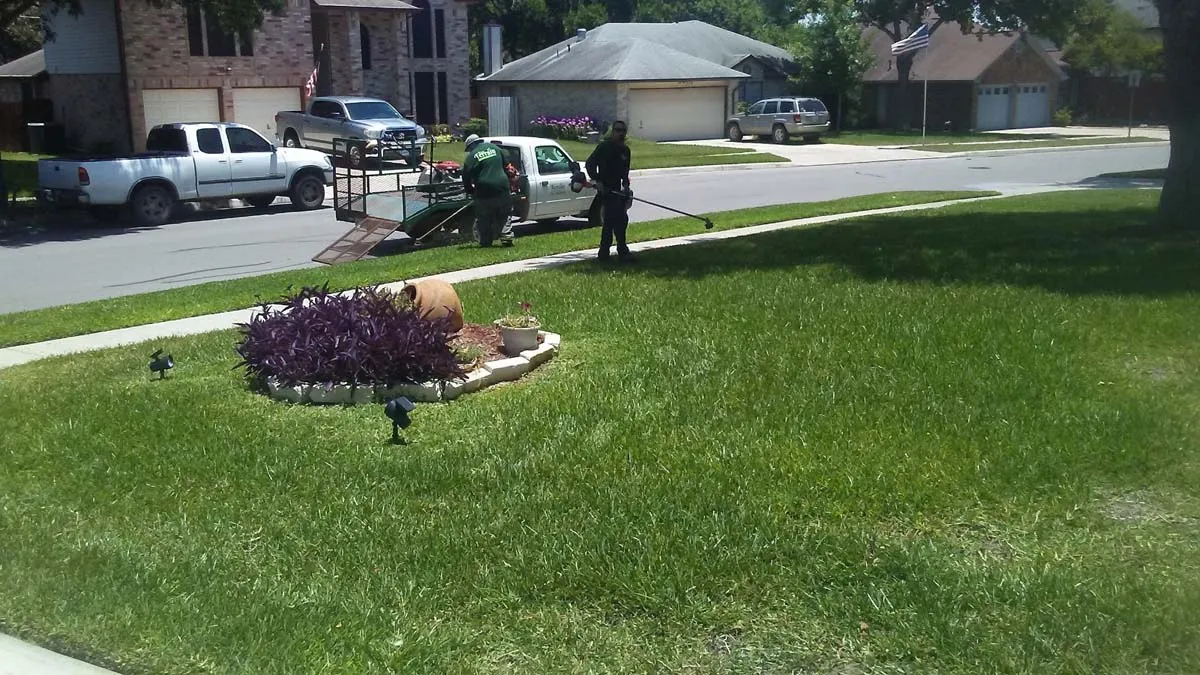 Gallery image 3 — lawn care San Antonio