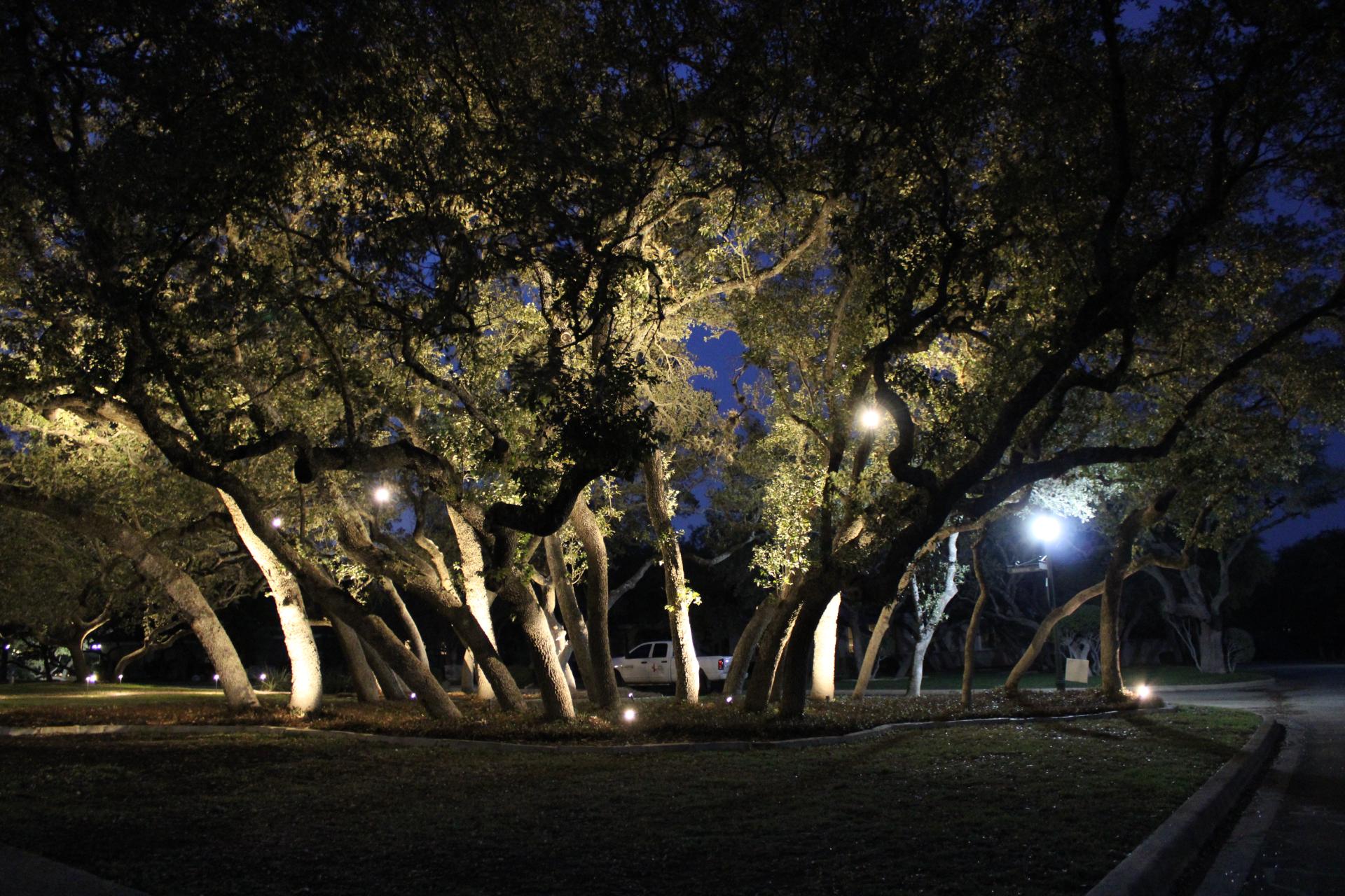 Gallery image 5 — artificial turf installation Stone Oak, TX