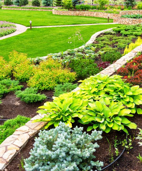 Gallery image 2 — Christmas light installation San Antonio