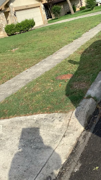 About Christmas light installation San Antonio