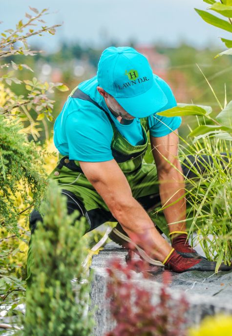 Gallery image 1 — Christmas light installation San Antonio