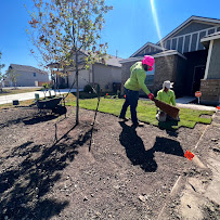 professional lawn care Alamo city