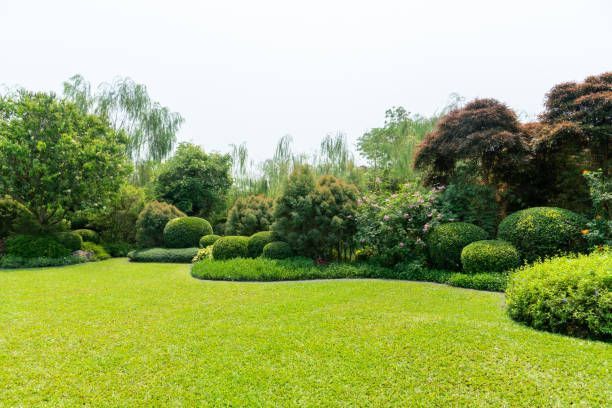 Gallery image 1 — Barron Landscape Services