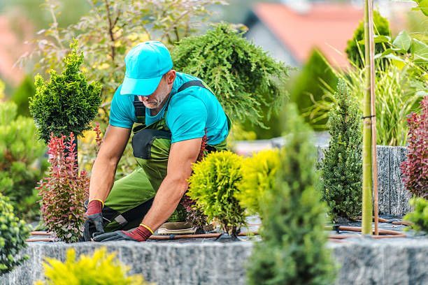 Gallery image 6 — Barron Landscape Services