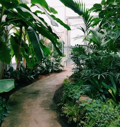 Gallery image 3 — professional gardening design near me