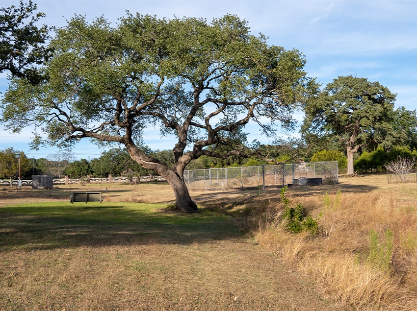 Gallery image 1 — wood and metal fencing San Antonio
