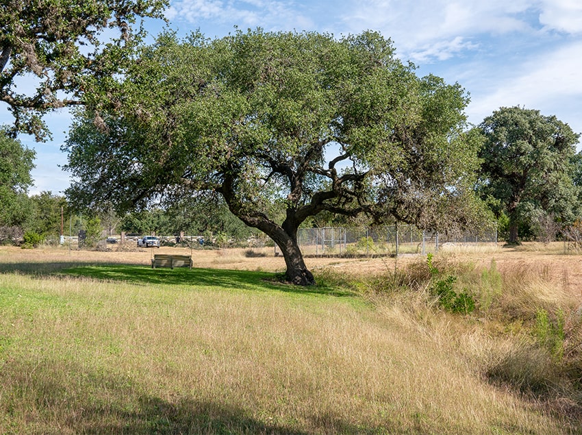 Gallery image 8 — wood and metal fencing San Antonio