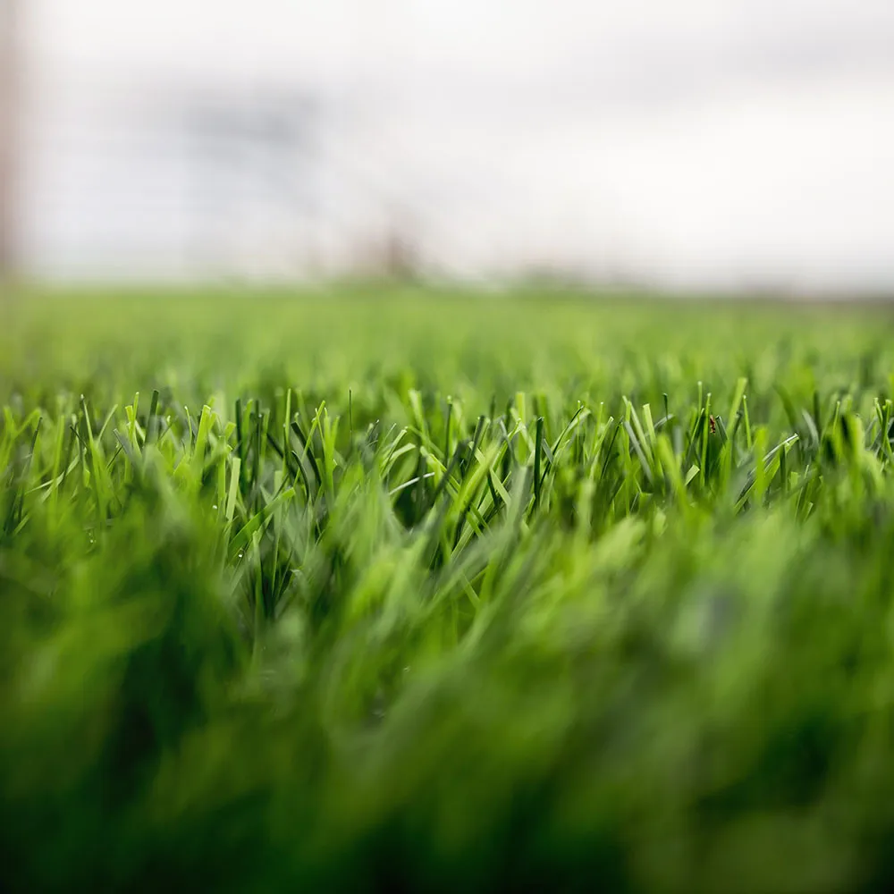 Gallery image 10 — Zion Landscape Co