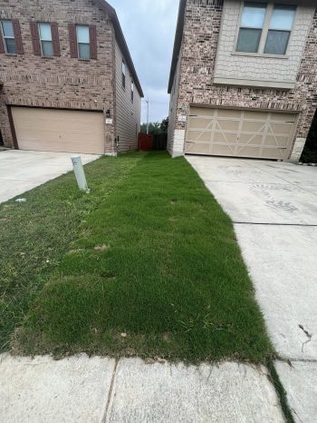 sod installation San Antonio