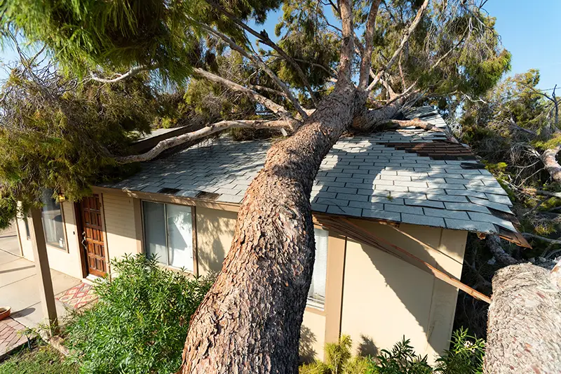 Gallery image 1 — storm damage roof repair near me