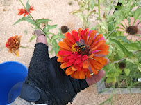 Gallery image 4 — lawn fertilization San Antonio