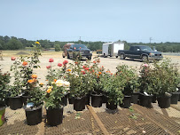 Gallery image 8 — lawn fertilization San Antonio