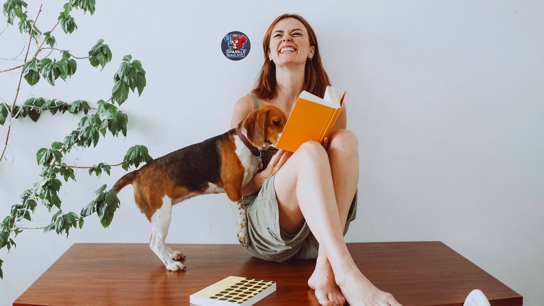 move in cleaning NYC